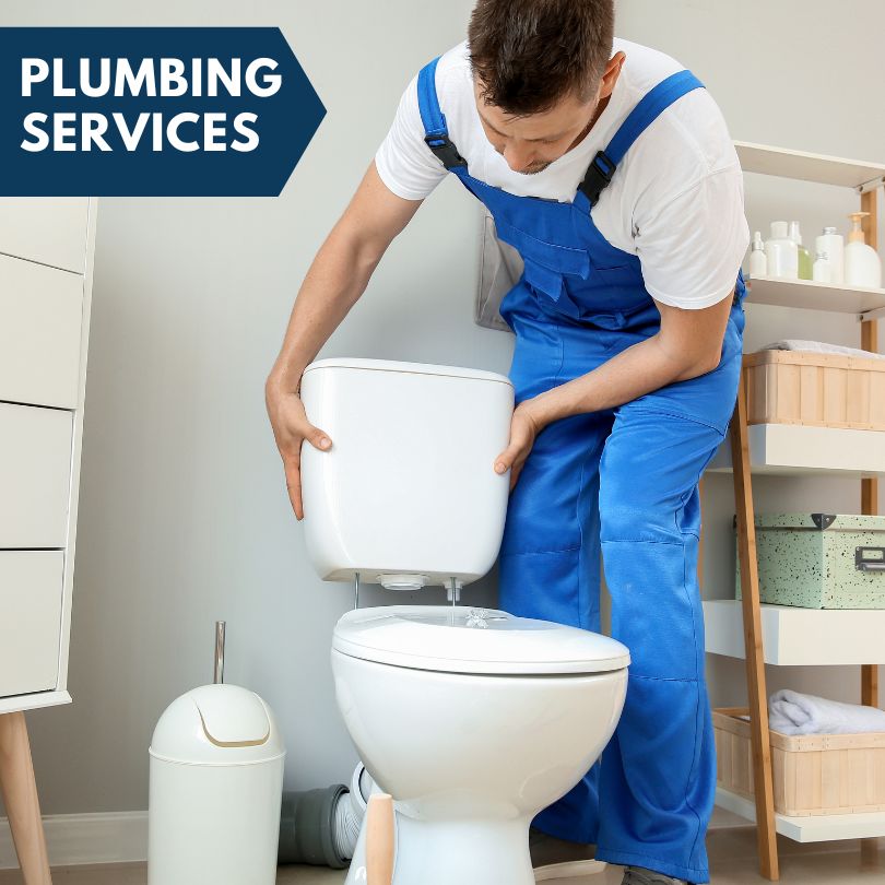 Plumbing Company in Wauconda, IL